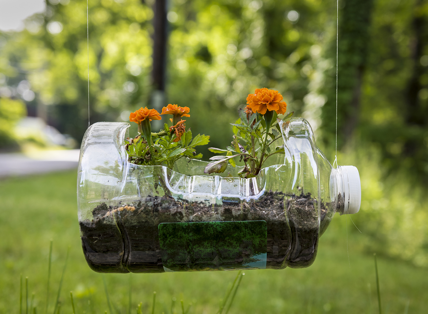 Creative Ways to Reuse Organic Waste in Your Garden